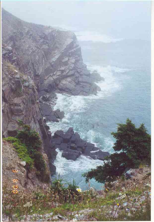 Northern Bay Cliffs