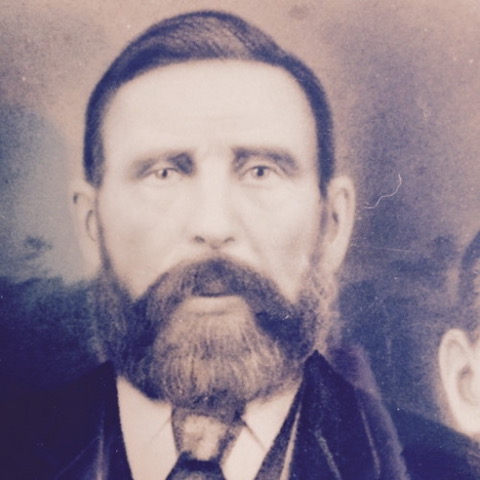 John Moss - Open Hall