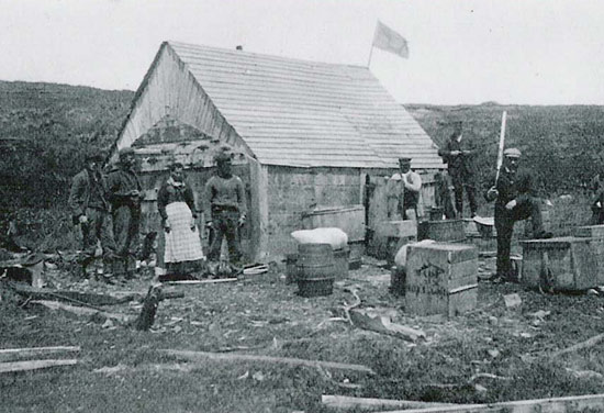 Livyers on the French Shore