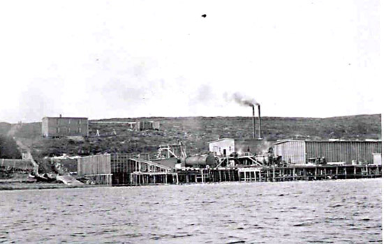 Whaling Operation in St. Lawrence