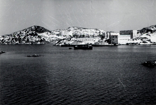 Fish Plant Photo #2- Burin - c1960