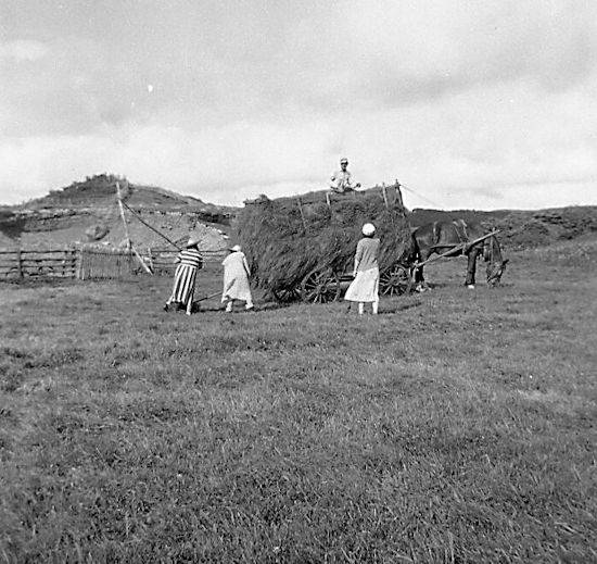 Haying in Fortune