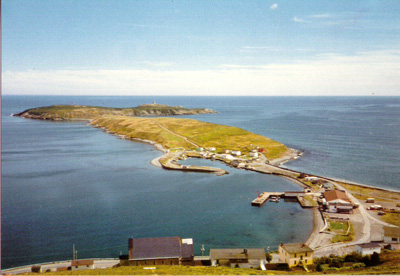 Looking From Gaze to Downs