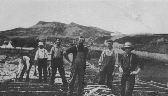 Old 1920-1930's picture #2