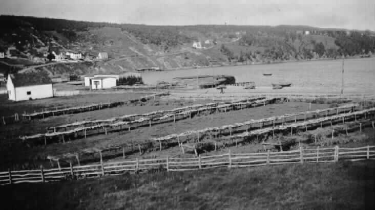 Caplin Bay, now Calvert