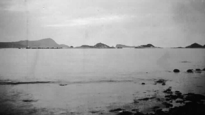 Ferryland Harbour Islands