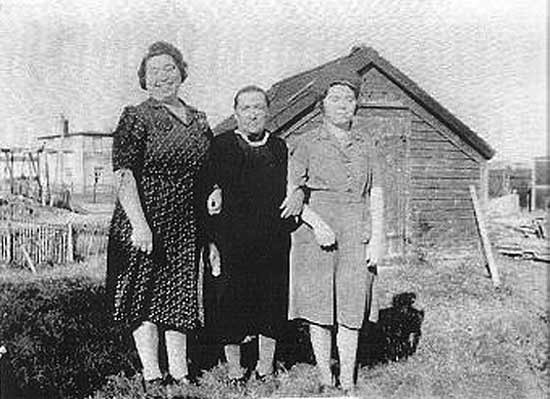 Jessie Porter, Sarah Petten, & Caroline Tucker