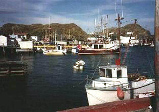 Ship Cove 1992