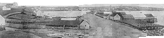 St. Mary's Harbour c1900
