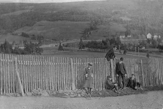 Molloy's Lane - c1907