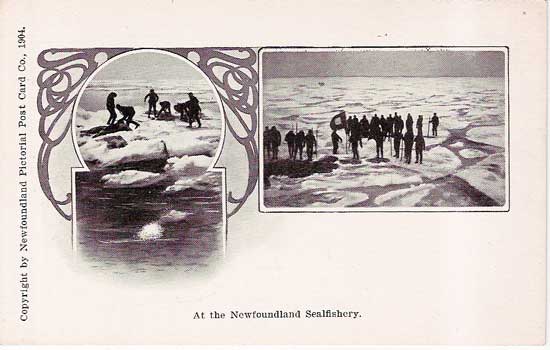 Sealing in Newfoundland 1904