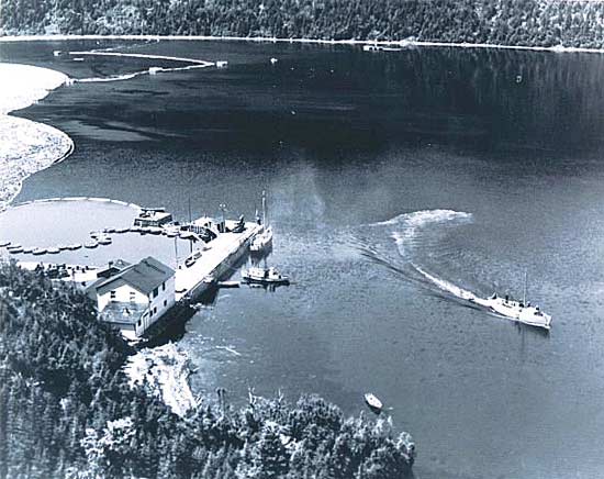 The Bottom - Bowater's - Hampden