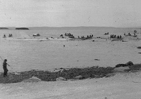 Whaling in New Harbour