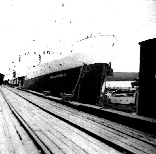 The Bonavista at Lewisporte