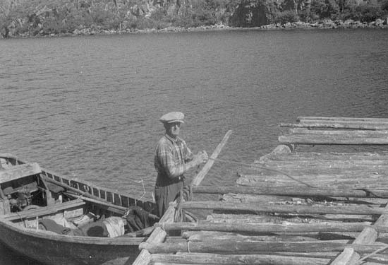 Nipper's hr. - Photo #3