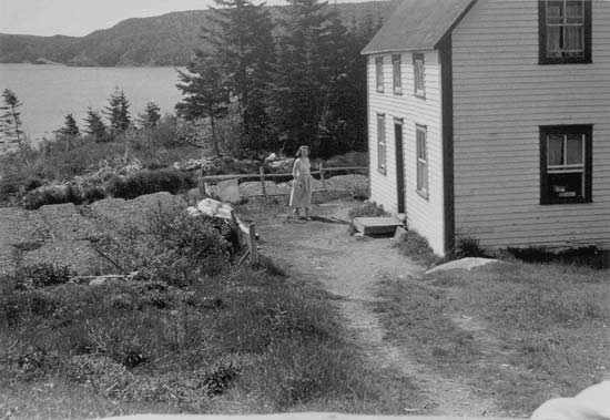 Nipper's hr. Photo #4