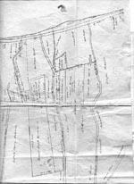 1950s Lance Cove Map Section 4