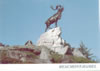 Beaumont Hamel Caribou (43,003 bytes)