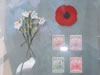 Forget-Me-Nots, Poppy and Newfoundland Stamps (55,193 bytes)